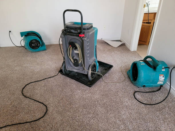 Best Water damage cleanup near me  in Rio Grande, NJ
