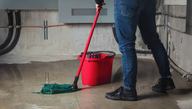 Best Water damage restoration cost  in Rio Grande, NJ