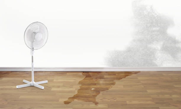 Best 24/7 water damage repair  in Rio Grande, NJ