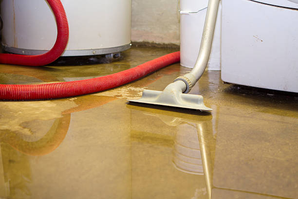 Best Water damage restoration company  in Rio Grande, NJ